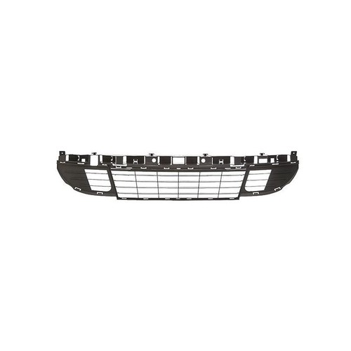 Grille pare choc - de, avant