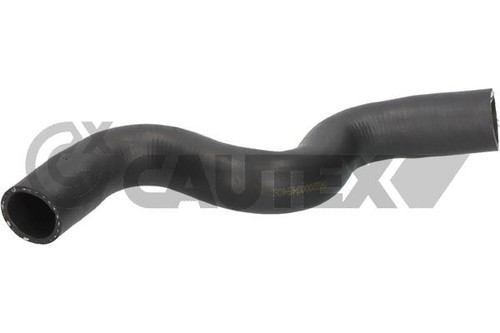 Durite radiateur dacia - durite,