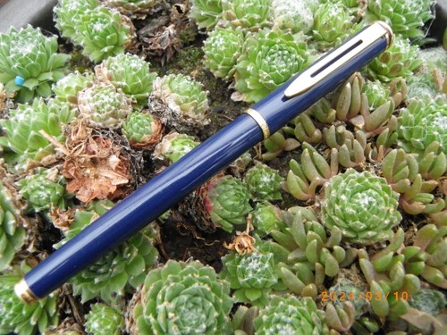 Stylo plume waterman maestro - plume,