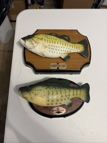 Lot big mouth - of,