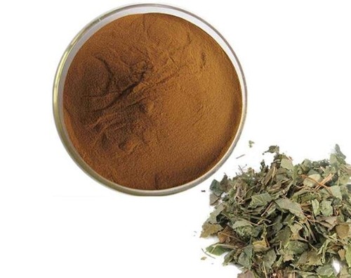 Horny goat weed icariin - goat,