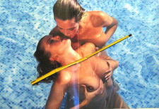 Revue VERTIGES et PULSIONS 