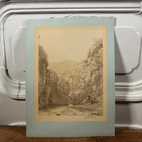 Photo albumine contrecollée