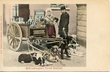 CARTE POSTALE BELGIQUE / ATTELAGE DE CHIENS / MELKVERKOOPSTER NOORD BRABAND