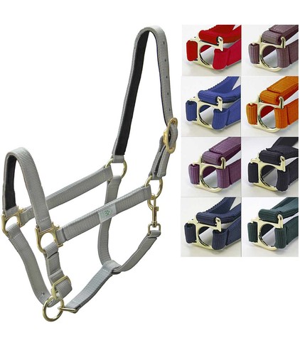 Licol nylon doublé cuir - doublé, de