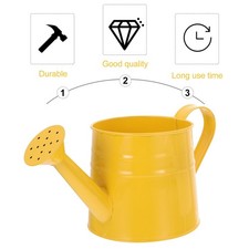  2pcs fonte de fer de fer seau