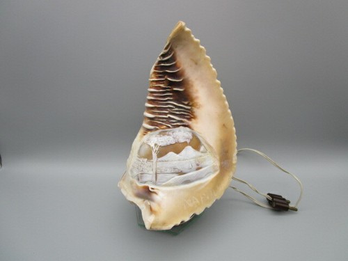 Ancienne lampe coquillage - lampe,