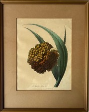 Style Ancien Gravure sur