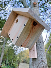 Nichoir oiseaux losange en bois massif pour mésanges et moineaux, toit relevable