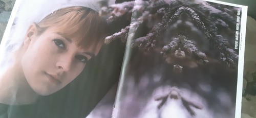 Sylvie vartan poster - vartan,