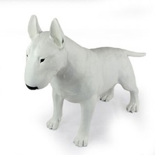 Bull terrier full size - terrier, i