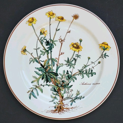 Sublime assiette plate - sublime,