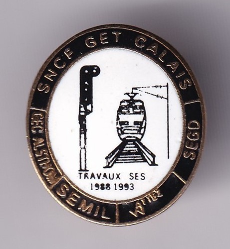 Rare pins pin train - rare,