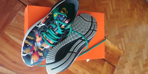 Basket homme nike - nike, pegasus