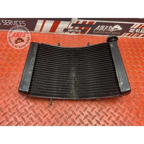 Radiateur eau triumph street - d'eau,