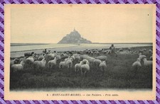 Mont Saint Michel - le polder - Prés Salés