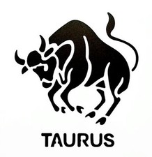 POCHOIR PLASTIQUE 15*15cm : signe astrologique Taureau (Taurus)