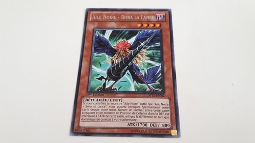 Aile noire bora lance - noire, la