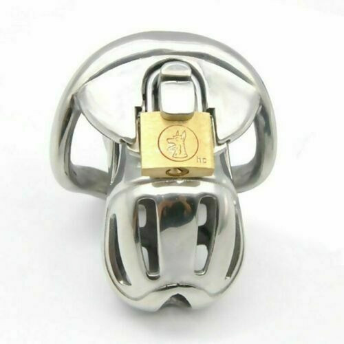 561 ceinture chasteté - 561|,