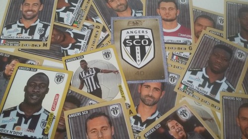 Stickers panini ligue foot - stickers,