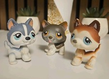 ✨️lot Littlest Pet Shop