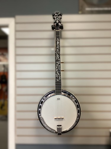 Ibanez b200 resonator - b200, banjo