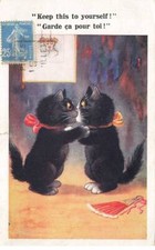 CHATS AB#MK297 GARDE CA POUR