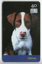 AMERIQUE  TELECARTE / PHONECARD .. BRESIL 40R TLFC CHIEN PITBULL MAGNETIQUE
