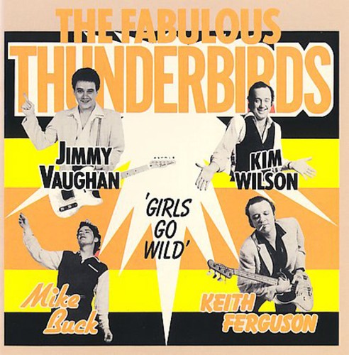 The fabulous thunderbirds - the,