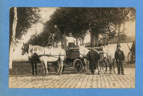 Cher carte photo - cher, /