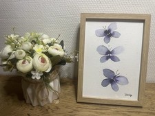 Aquarelle Papillons Signée