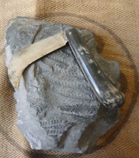 Couteau métier serpette - couteau,