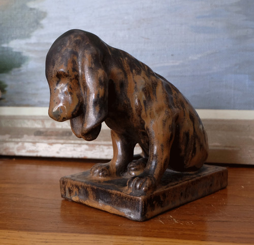 Chien gres cytere - gres,