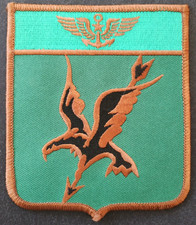 Patch Aéronavale - Flottille