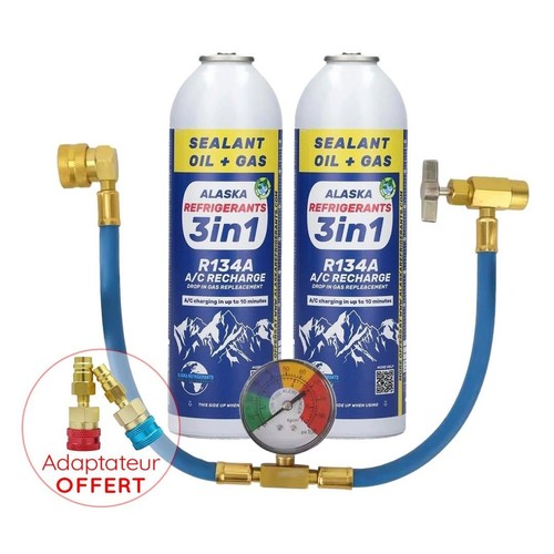 Kit recharge r134a - 🇨🇵,