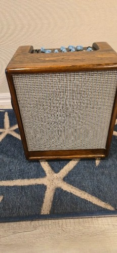 Custom polytone guitar - custom,