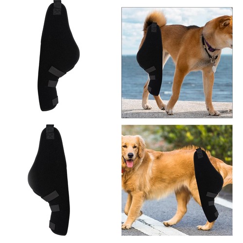 Attelle jambe chien - jambe,