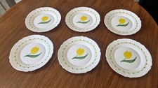 Lot de 6 assiettes plates