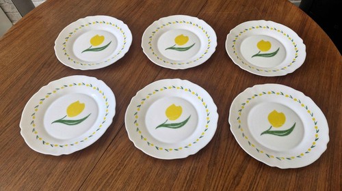 Lot assiettes plates - lot,