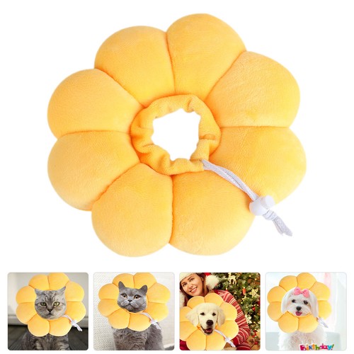 Chats accessoires collerette - chats,