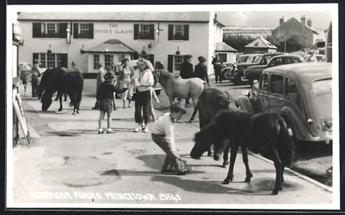 Carte postale princetown - carte,