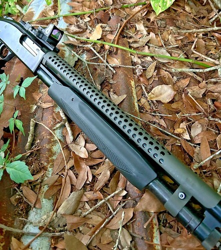 Buried treasure mossberg - buried,