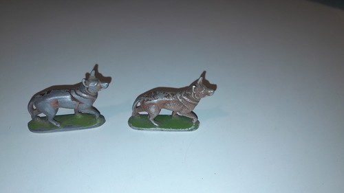 Quiralu chiens animaux - chiens,