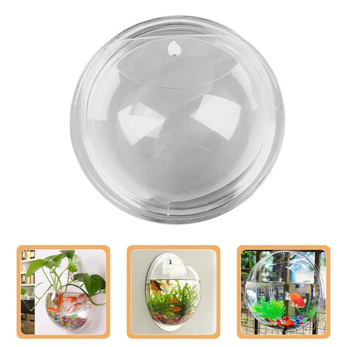 Globe mural acrylique vase - acrylique,