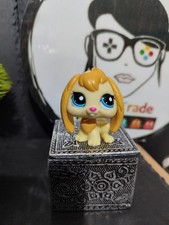 Lps909 My Littlest Petshop Pet