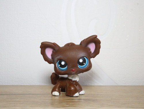 Littlest petshop chihuahua - petshop,