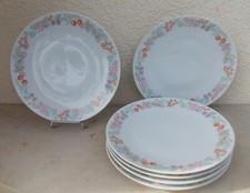 6 assiettes plates