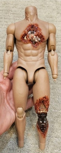 Hot toys 6 dx13 - 1/6,