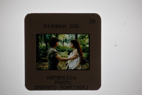 Artemisia valentina cervi yann - valentina,