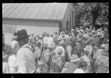 Fermiers aux enchères